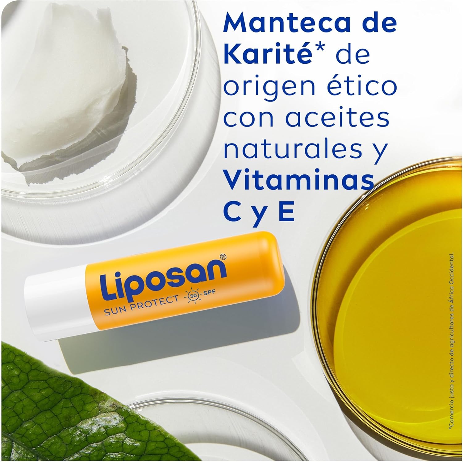 Imagen del producto - Liposan Sun Protect FPS 50 (1 x 4,8 g), cacao de labios con 24 horas de hidratación, bálsamo labial con protección solar, bálsamo hidratante para unos labios suaves