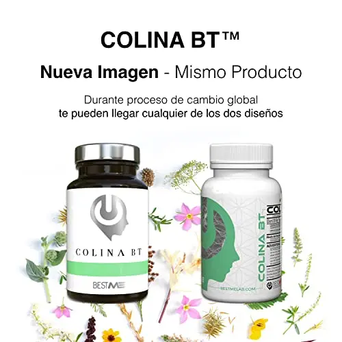 Bestme Lab Colina BT | Bitartrato de Colina Activa | Nootrópico 100% Natural + Concentración + Memoria | Reparación Celular | Nutriente Esencial Precursor de la Acetilcolina, 250mg 60 Cápsulas