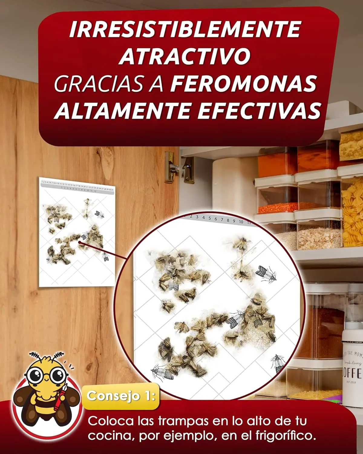 PIC Trampa para polillas alimentarias – 12 trampas para polillas de alimentos – Trampa para polillas de alimentos – Trampa para polillas de alimentos – Trampas adhesivas efectivas para la detección de